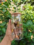 Glass Tumbler with Wooden Lid & Straw – Cute Designs