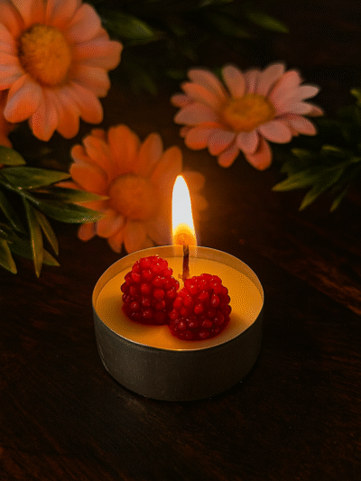 Raspberry scented T-lights | Pack of 4 | Diwali | Christmas | Festive vibes